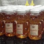 IMG_20140726_225625_843-1